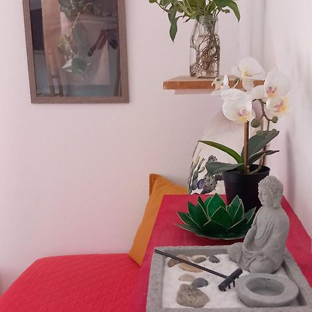 A Casa Di Sara Apartment คาสเทลซานเปียโตรแตร์เม ภายนอก รูปภาพ